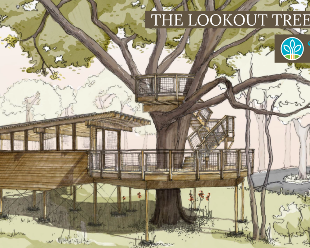 The Lookout Treehouse  