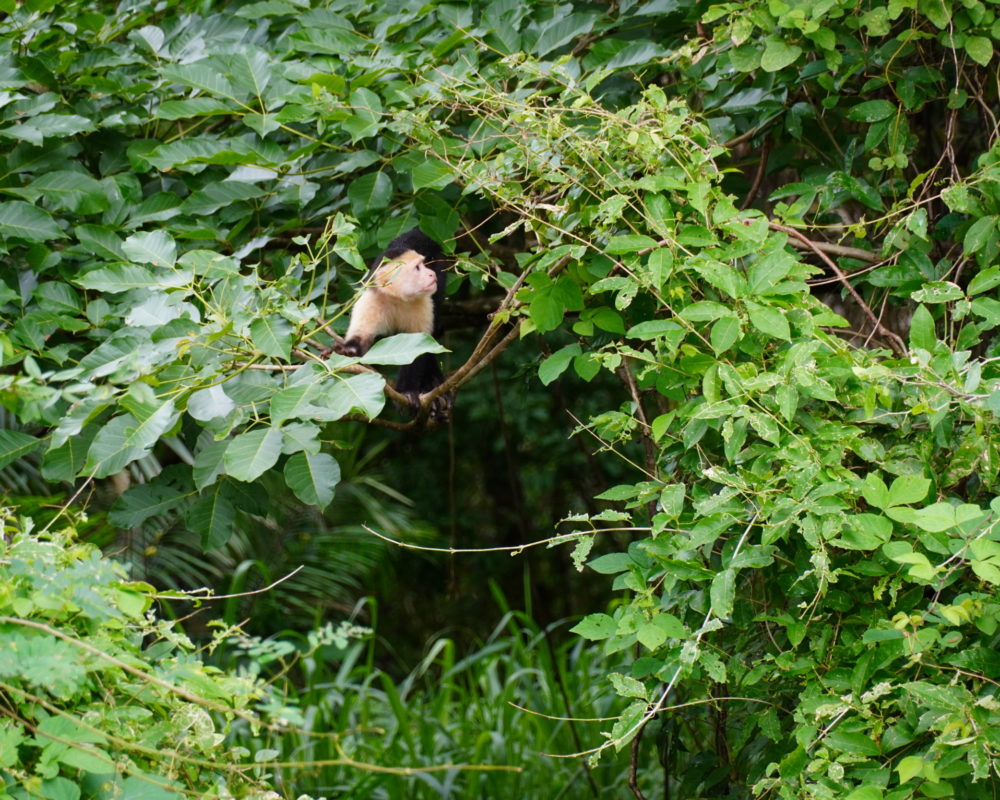 2021 Realtor Rewards Trip: River Boat Cruise of a Lifetime