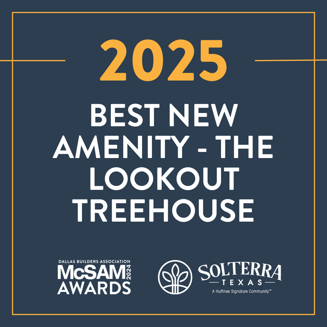 2025 Best New Amenity - Treehouse (Solterra Texas)